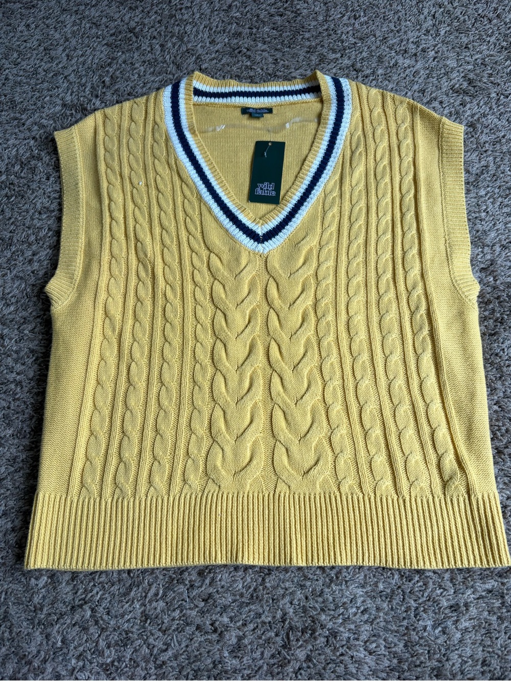wild fable Yellow Knit Vest with Navy & White Stripes